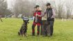 Pinewood Hose Dog Sports Extrem-C dunkelgrau / schwarz