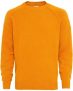 Camel active Rundhals-Pullover